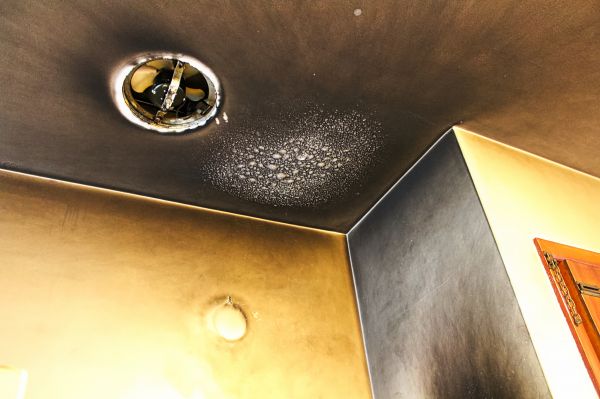 Cost of Smoke Damage Remediation in Orem